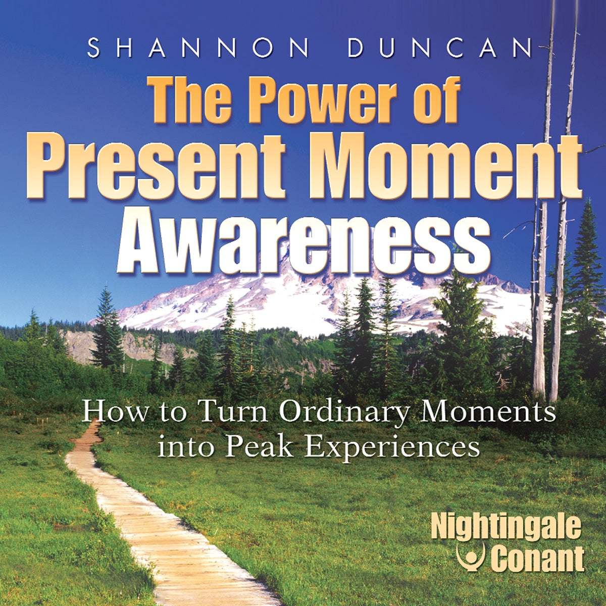 The Power of Present Moment Awareness